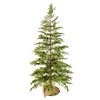 Vickerman 48" Cedar Pine Artificial Christmas Tree - Unlit -
