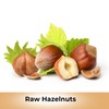 Raw Oregon Hazelnuts, Natural Raw Hazelnuts, Kosher Certified in Resealable