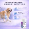 Complete Mobility Perros C/condroitina Y Glucosamina 60 Tab