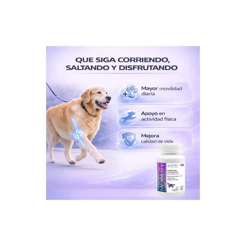 Complete Mobility Perros C/condroitina Y Glucosamina 60 Tab