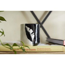 Delmar Ceramic Pot | Modern Pot Decor for Home or Office l Indoor and Outdoor Planter for Any Event Decorations (5.5"x5.75")