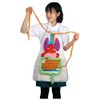 Anatomy Apron