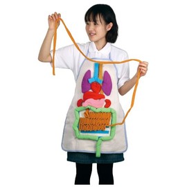 Anatomy Apron