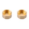 Brass Female Cap, 2PCS 1/2'' Brass Pipe Hex Head Plug,