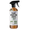 Kate's Garden Plant Spray for Insects & Getting Rid of