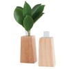 Lotus raise 1 Pair of Modern Shinto Arts, Sakaki, For