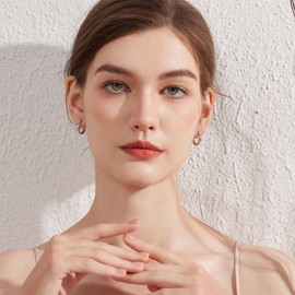 Silver Hoops Earrings for Women Small Silver Hoop Earrings Small Sleeper Hoops Huggie Hinged Earrings 21mm Silver