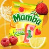 Mamba Chewy Candy Assortment, Tropical Chews, Fruit Strips, and Sticks,