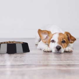 Relaxdays Anti Sling Bowl, Medium & Large Dogs, Plastic, Non-slip, Slow Eating, Food Bowl 500 ml, Black