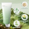 TECHEEL Heartleaf Facial Cleansing Foam Heartleaf Cleanser Face Foaming Cleanser
