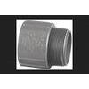 Charlotte Pipe 1-1/2 in. Slip x 1-1/2 in. Dia. MPT