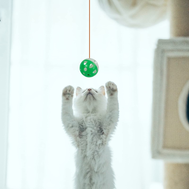 Senginoya Cat Bell Ball Cat Toy, Pet Supplies, Large Capacity,