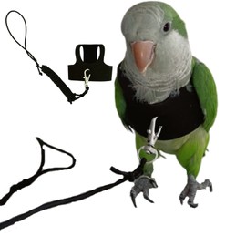 Bird Flight Harness Vest, Parrot Flight Suit with Leash for Parakeets Cockatiels Conures Budgies, Bird Flying Clothes with Rope and Handle for Outdoor Activities Training, Anti Bite (Small)