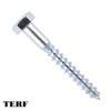 TERF® M8 X 75mm Coach Screws Hex Head M8 (8mm)