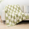 PAVILIA Checkered Throw Blanket for Couch, Fluffy Cozy Lightweight Sage