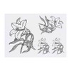 4 x 'White Lily Flower' Temporary Tattoos - Water Resistant,