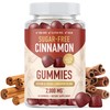 SMNutrition Sugar-Free Cinnamon Gummies 2000MG with Ceylon Cinnamon & Cassia