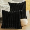 Joyouth Set of 2 Double-Sided Plush Velvet Cushion Covers, Soft