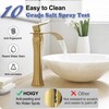 HOIGY Gold Vessel Sink Faucet, Brass Tall Bathroom Faucets, Single