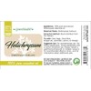 Helichrysum 100% Pure Essential Oil - 1/6oz (5ml)