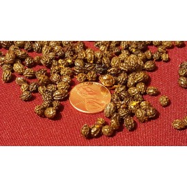 trust in God's Farms papaya fruit tree seeds choose 100 to 1000 seeds - 200 seeds