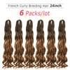 WIPPORYA French Curl Braiding Hair 24 inch 6 Packs Loose