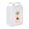 RADANYA Ayurveda RADANYA Ayurveda Watermelon Carrier Oil 100% Pure &