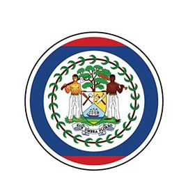 MAGNET Round Belizean Flag Belize Blz Bz Magnetic Vinyl Car Fridge Sticks to any Metal Surface 5"