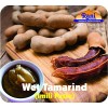 Rani Tamarind, Wet Seedless Block/Slab (Imli) 14oz (400g)