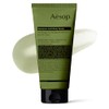Aesop Aesop geranium leaf body scrub 6.1 oz
