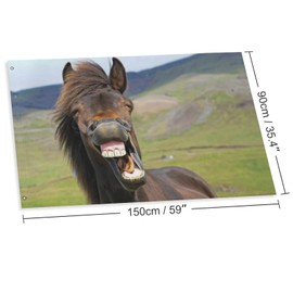 Decorative House Flag Yard Banner Icelandic Horse Gives Big Smile on One Side Welcome Garden Flags Lawn Decor 24x3ft