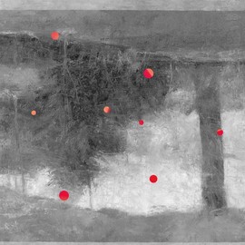 Emergent Slow Arcs [Vinyl LP]