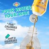AriZona Mucho Mango Fruit Juice Cocktail - On-the-Go Water Enhancer,