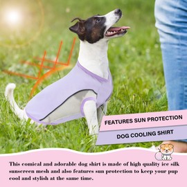 2 Pcs Dog Cooling Shirt Lightweight Breathable Cooling Vest for Summer Dog Beach Walking Hiking (Pink+Grey, s)