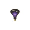 DEEJAY LED BL100 Mushroom Shaped Black Light