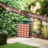 Premium High Energy Suet Blocks Berry Flavour Garden Bird Feed