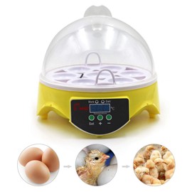 MUYIRTED Incubator 7 Eggs, Digital LED Display Incubator Chicken Incubator, Incubator for Chicken, Duck, Quail, Reptiles, Turtles, Bird, Adjustable Temperature
