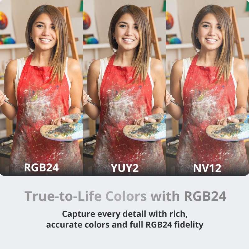 AVerMedia 4K60 HDMI Capture Card for DSLR, Camcorder, GoPro -