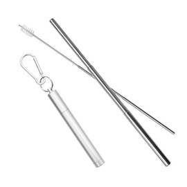 AngeliqueShop Stainless Steel Straw, Includes Cleaning Brush and Carabiner Ideal for Carabiners, Choose from 6 Colors (Silver)