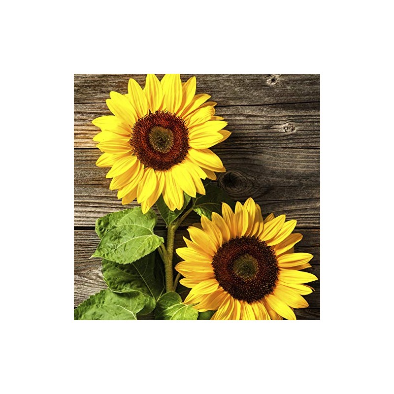 20 Lunch Napkins Sunflower Autumn 33 cm