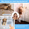 Daytech Dog Doorbell for Potty Training, Puppy Dog Door Bell