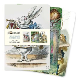 Alice in Wonderland Set of 3 Midi Notebooks