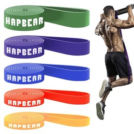 HAPBEAR Bandas de Asistencia para Dominadas - Juego de 5 Bandas de Resistencia para Ejercicio, Estiramiento, Fisioterapia y Entrenamiento - Incluye Guía y Bolsa de Transporte