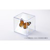 Minoru Kagaku Kogyo MCS-2 Option Series Minoru Cube L Diagonal