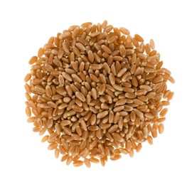 Certified Glyphosate Residue Free | Wheat Berries | Hard Red Spring | 3 LBS | Family Farmed in Washington State | 100% Desiccant Free | Non-GMO | USA Grown | Field Traced