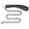 Aiyidi Dog Chain Leash, Stainless Steel Metal Link Training Leash