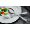 Maestro Craft Pack of 12 Pieces Stainless Steel Dinner Soup