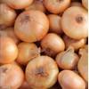 Cipollini Yellow Onion - Coin Shaped Sweet Onion - 400