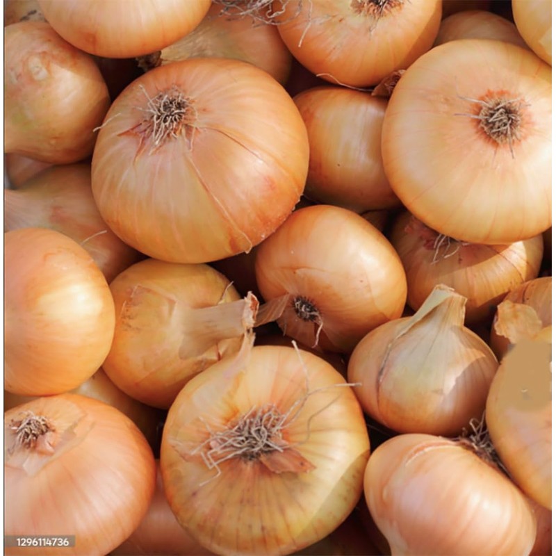 Cipollini Yellow Onion - Coin Shaped Sweet Onion - 400