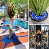3/4 Inch Pacific Blue Fire Glass Beads for Fire Pit,